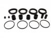 Brake Caliper Rep Kits:AY600-NS019